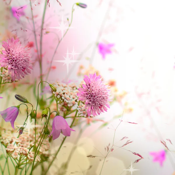 Floraler Rand - Blüte, schöner verschwommener Hintergrund — Stockfoto