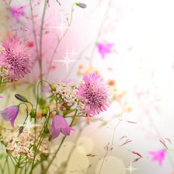 Floral border - blossom, beautiful blurred background — Stock Photo, Image