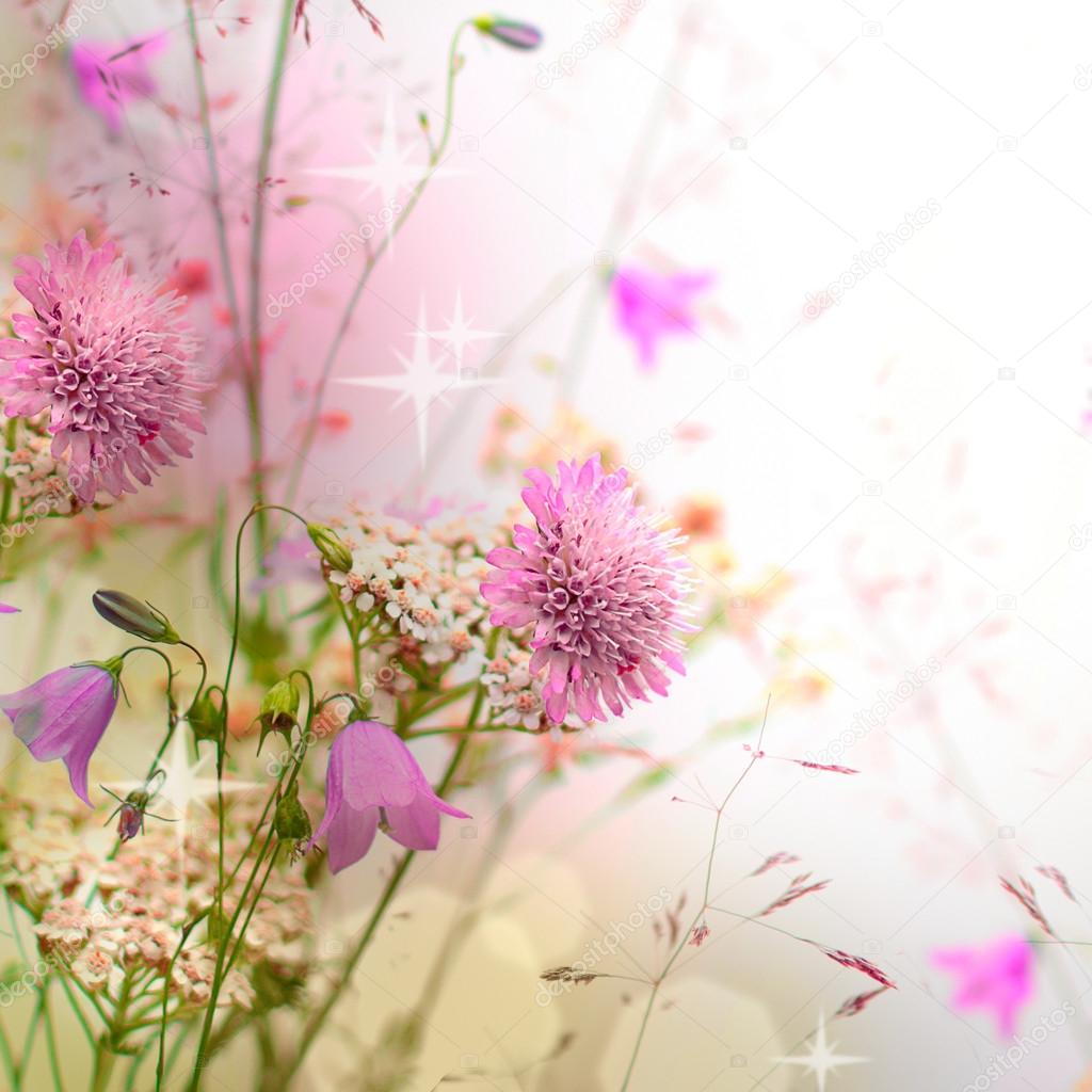 Floral border - blossom, beautiful blurred background