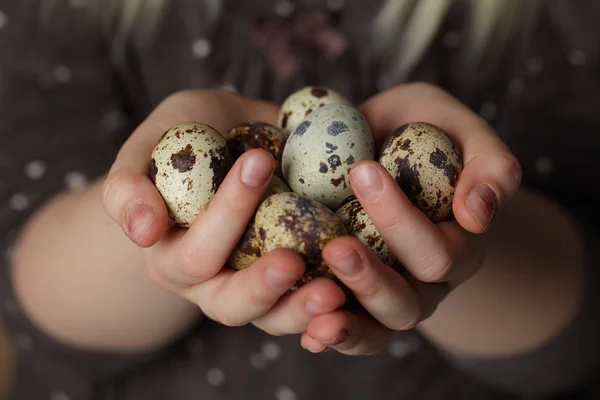 Conceito de segurança, ovos orgânicos nas mãos — Fotografia de Stock