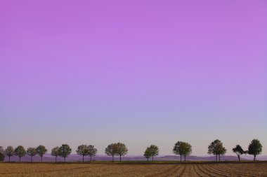 Fransa, provence, peyzaj