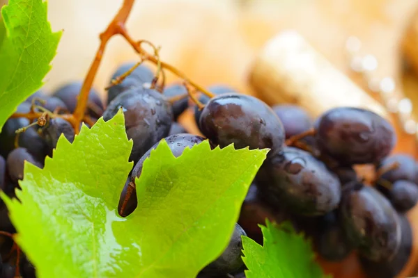 Uva e foglie verdi su sfondo vino sfocato — Foto Stock