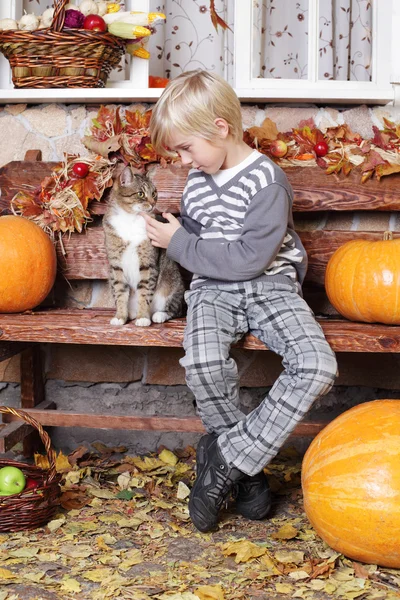 Small boy with cat and pumpkin — Stock Photo, Image