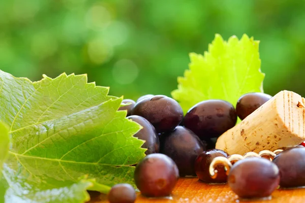 Uva, foglia, sughero - sfondo sfocato per il vino rosso — Foto Stock
