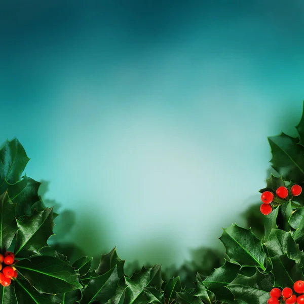 Julnatten - bakgrund med holly berry lämnar — Stockfoto