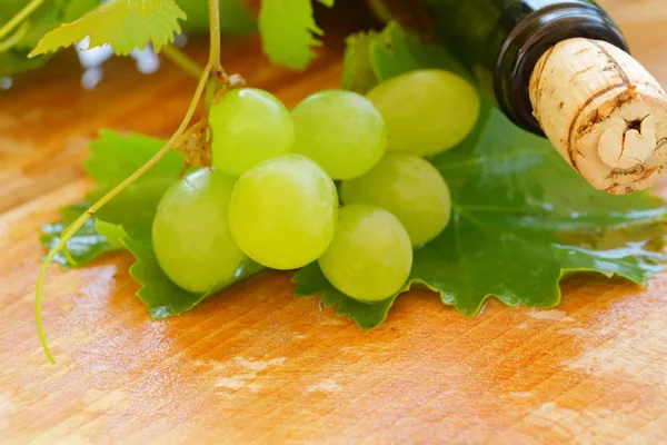Fondo vino - bottiglia di vino e primo piano dell'uva — Foto Stock