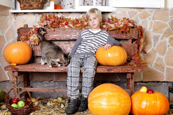 Cute boy with cat on colorful autumn background — Stock Photo, Image