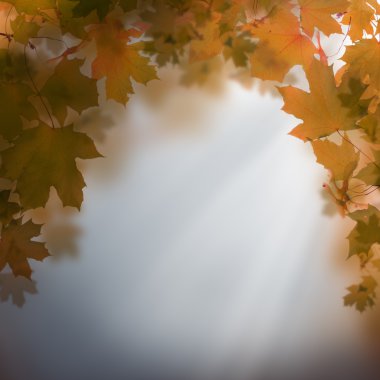 sonbahar gece arka plan