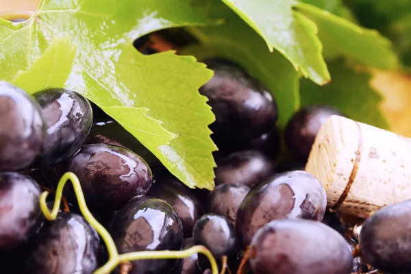 Uva con foglie e tappo di vino — Foto Stock