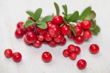 Red cowberries on white wooden board