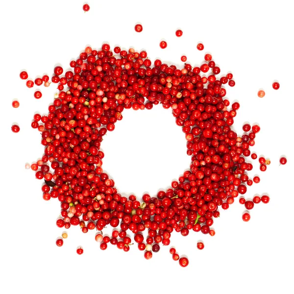 Border of red cowberry isolated on white background