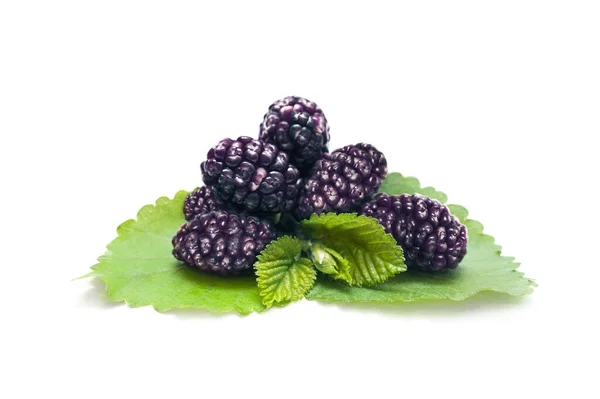 Fresh Black Mulberries White Background — Foto de Stock