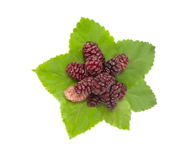 Fresh Ripe Black Mulberry Berry Fruit Leaf Isolated Top View — Stockfoto