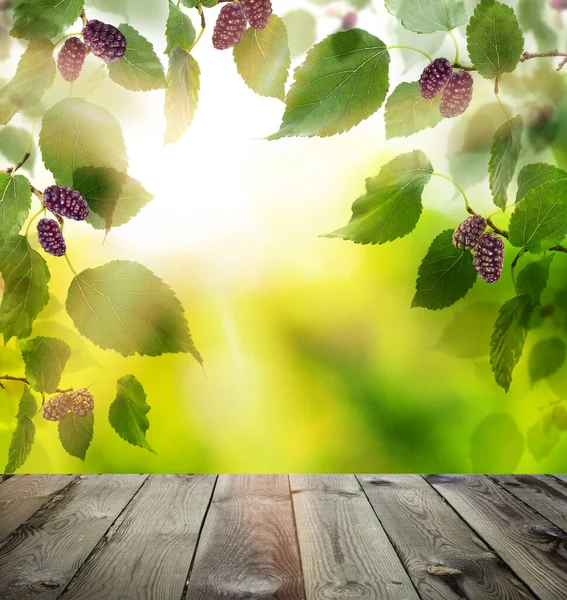 Abstract Summer Background Bokeh Light Mulberry Fruits — Stock Fotó