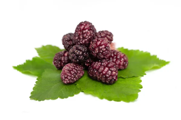 Mulberries Fruit Mulberry Leaf White Background Healthy Mulberry Fruit Food — Foto de Stock