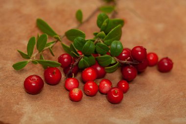 Red cowberry on brown background closeup. Healthy fruit and berry. 