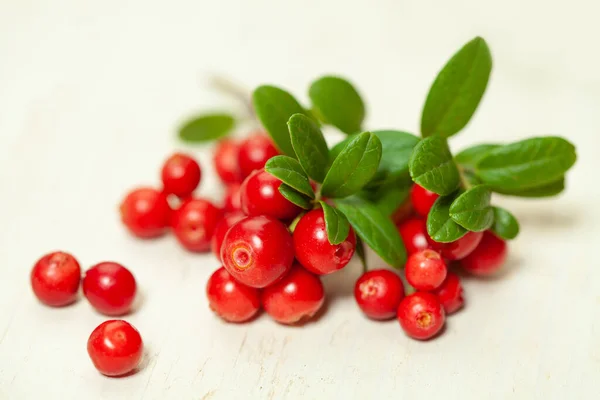 Healthy Berries Red Cowberry White Wooden Board — Stockfoto