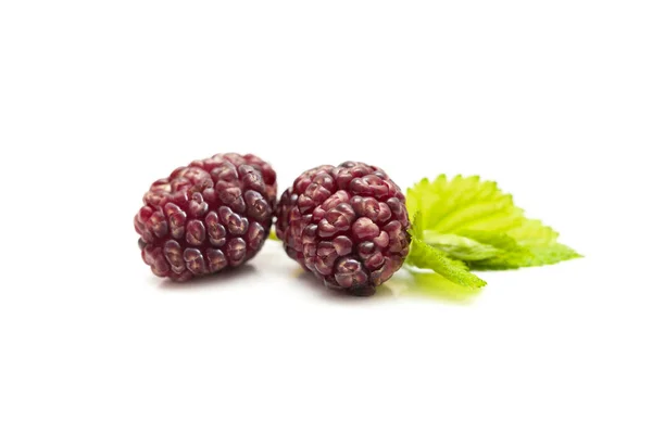 Two Black Mulberries Fruits Leaf White — Foto de Stock