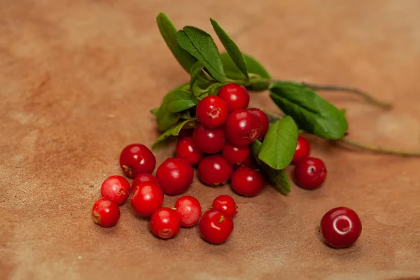 Cowberry Green Leaves Closeup Brown Wooden Texture — Stockfoto