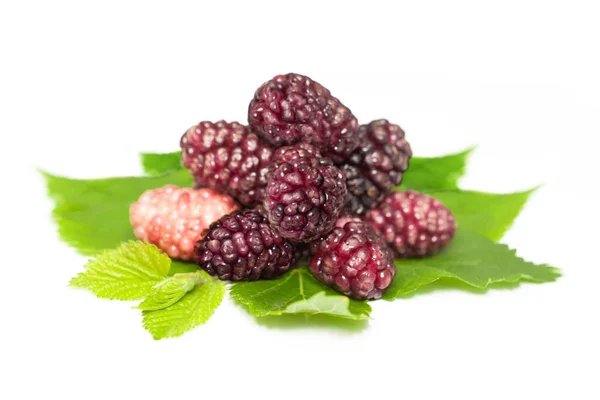 Organic Mulberry Fruits Green Leaves White Background — Foto de Stock