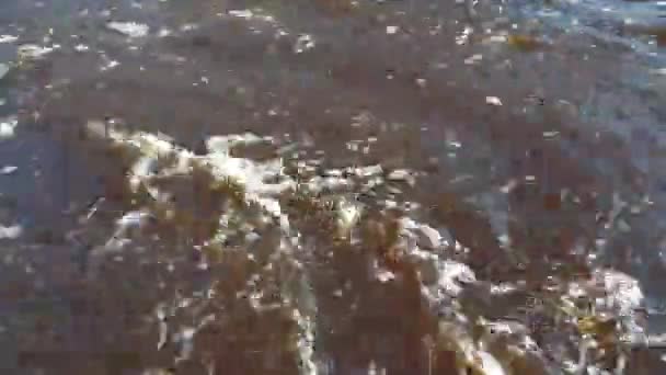 Strumień Zanieczyszczonej Wody Rzeka Brudną Wodą Koncepcja Ochrony Środowiska — Wideo stockowe