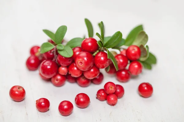 Cowberry Green Leaves White Wooden Board — Stockfoto