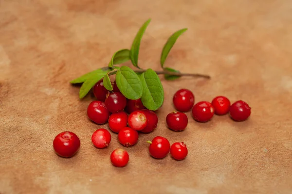 Red Lingonberry Foxberry Cowberry Wooden Background — Stockfoto