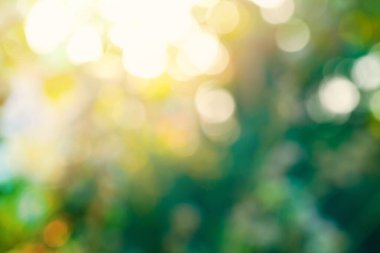 Green blurred background with bokeh light