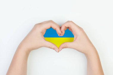 Heart with flag of Ukraine in female hands on white background