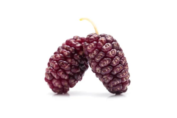 Fresh Mulberry White Background Macro — Stock Photo, Image