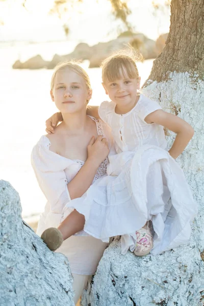 Portret Van Een Leuke Familie Meisjes Buurt Van Grote Boom — Stockfoto