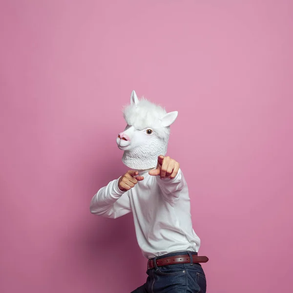 Creative lama person pointing finger on bright pink studio wall background