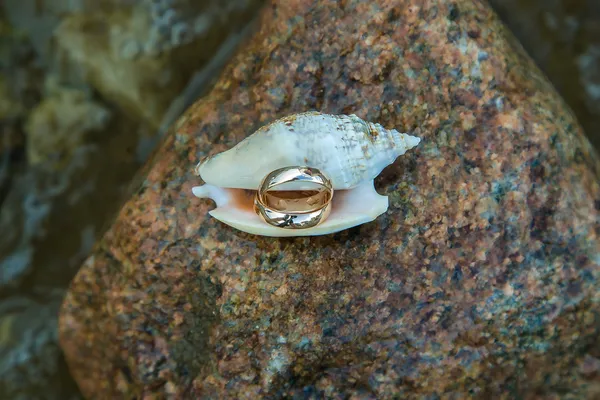 Um presente marinho. Amor e Mar . — Fotografia de Stock