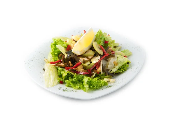 Dieta de ensalada de ensalada dietética —  Fotos de Stock