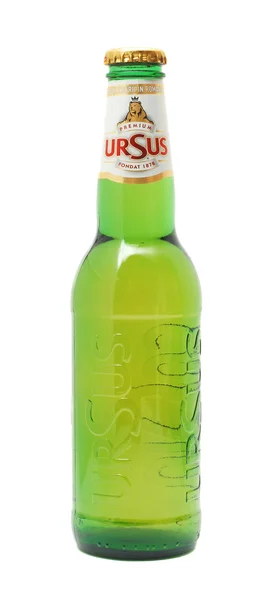 Cerveja Ursus — Fotografia de Stock