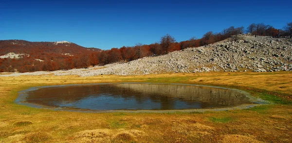 Landscape — Stock Photo, Image