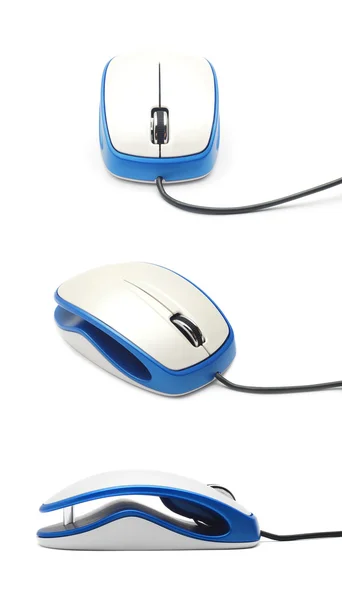 Computer mouse — Stock Photo, Image