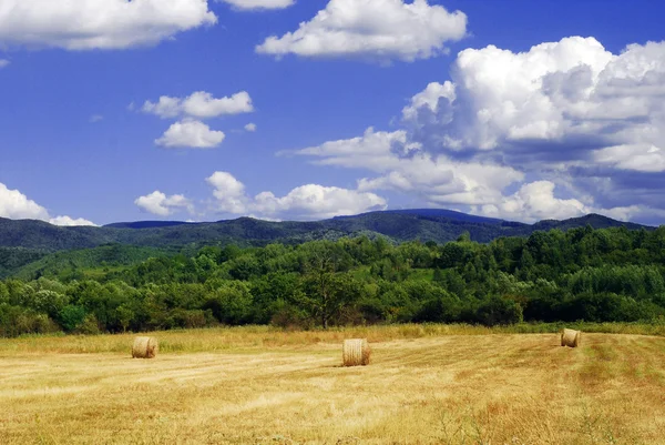 Feldlandschaft — Stockfoto