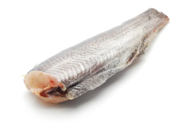 Fischfilet — Stockfoto