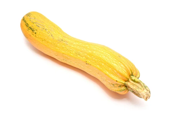 Zucca di midollo — Foto Stock