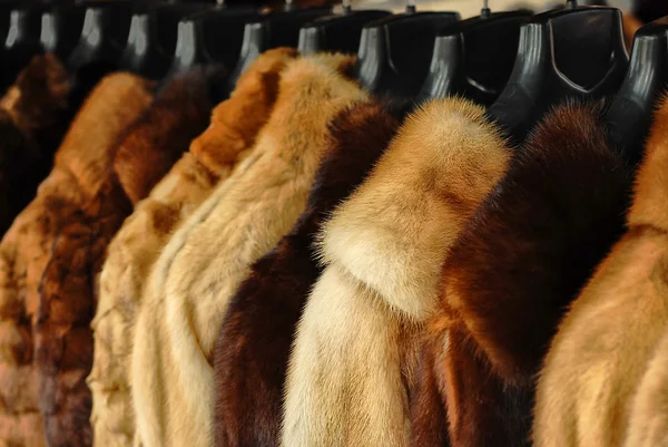 Fur jackets — Stock Photo, Image
