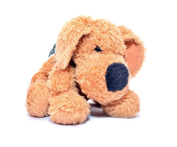 Cane peluche — Foto Stock