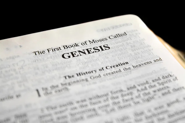 Genesis — Stock fotografie