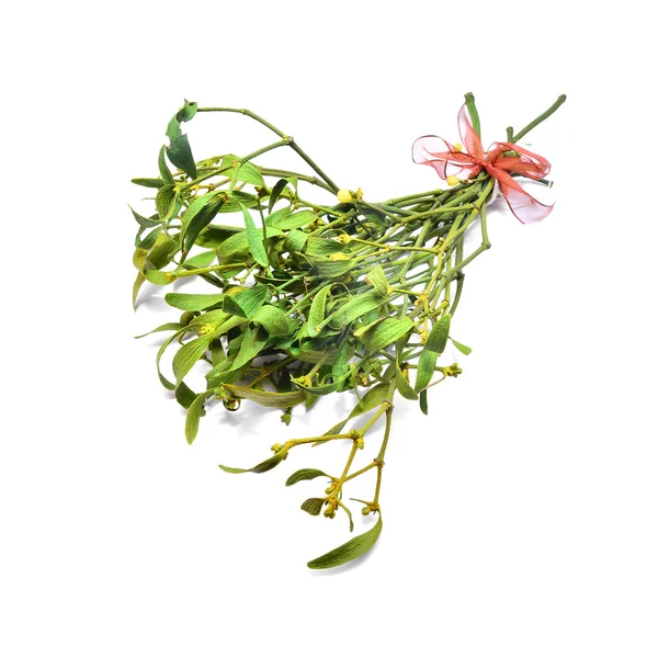 Mistletoe — Stock Photo, Image