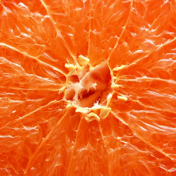 Оранжевый макрос — стоковое фото
