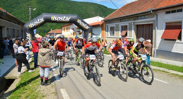 Mountain bike marathon — Stockfoto