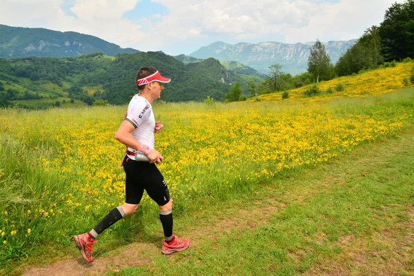 トレイル ランニングの運動選手 — ストック写真