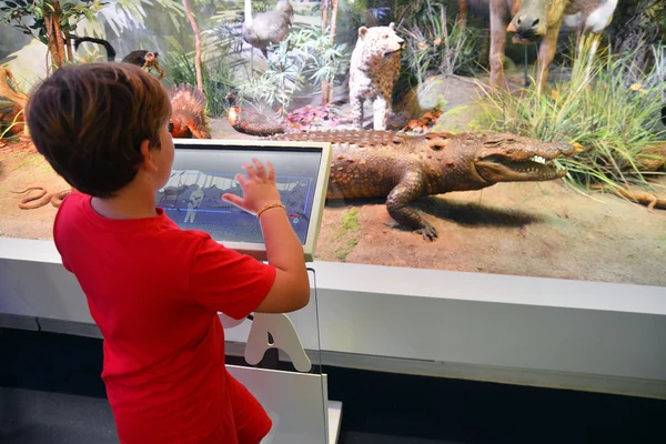 Criança no museu — Fotografia de Stock