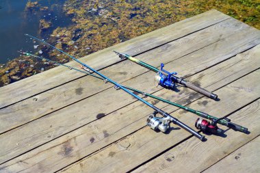 balıkçılık satır