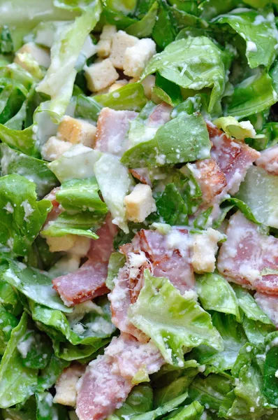 Caesar salade met spek — Stockfoto